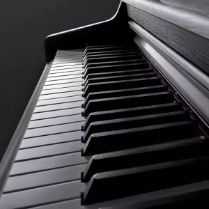 پیانو دیجیتال ydb 164